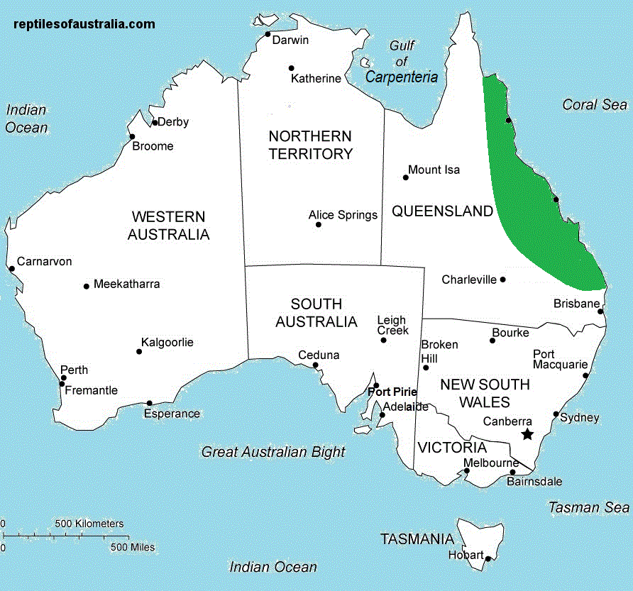 Approximate distribution of the Northern Bar-sided Skink (Concinnia brachysoma Map